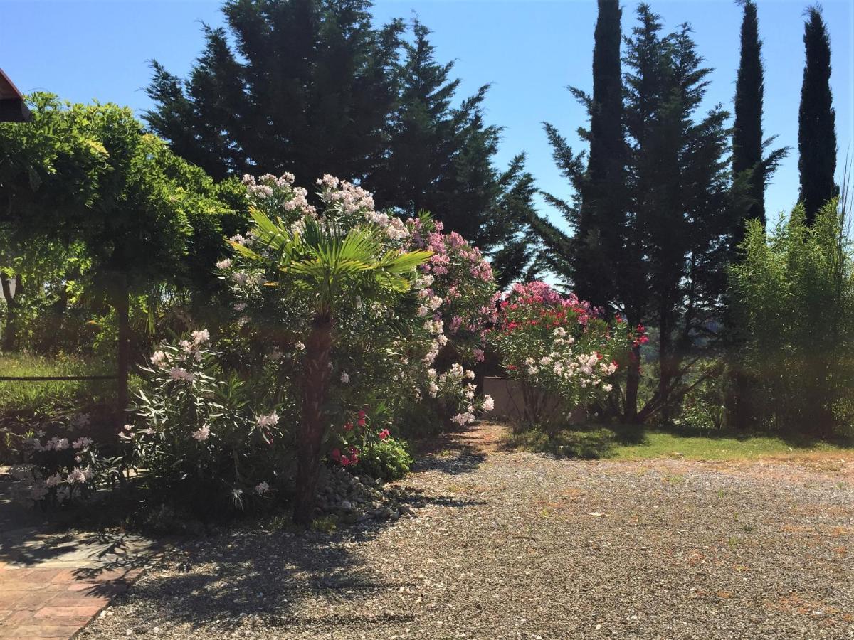 Apartamento Poggio Magginga Terricciola Exterior foto